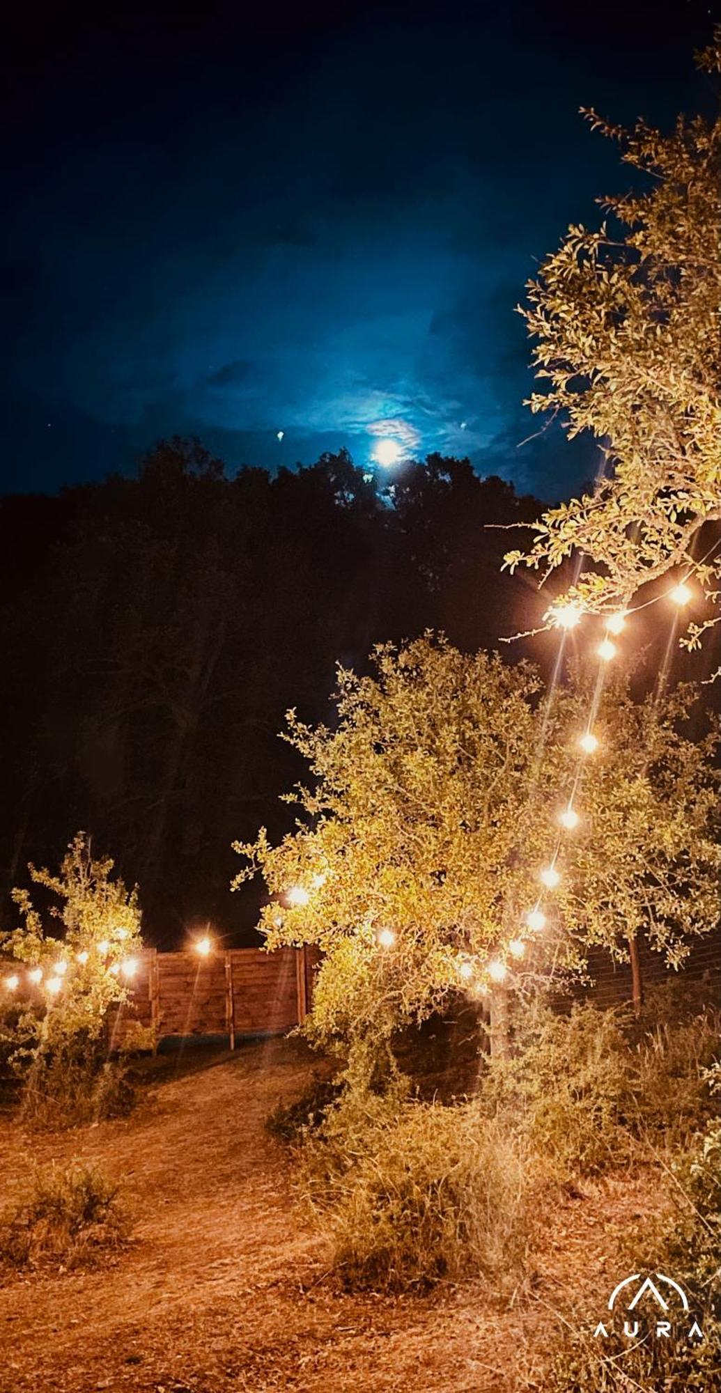 Aura - Glamping Experience Hotel Accettura Eksteriør billede