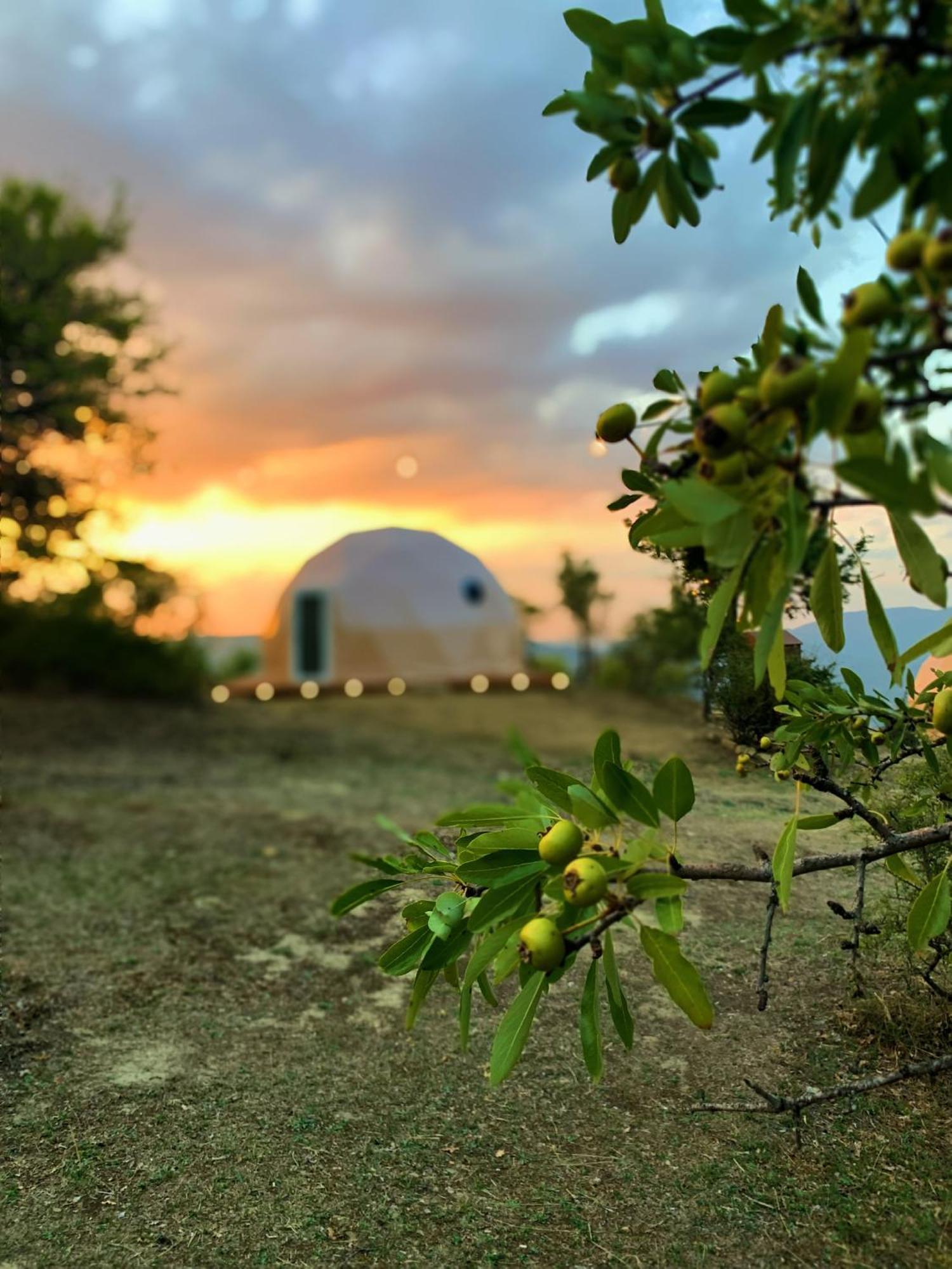 Aura - Glamping Experience Hotel Accettura Eksteriør billede
